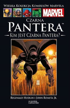 Czarna Pantera: Kim jest Czarna Pantera?